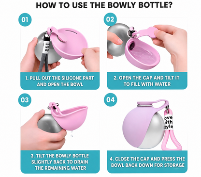 Bowly : Travel dog bowl